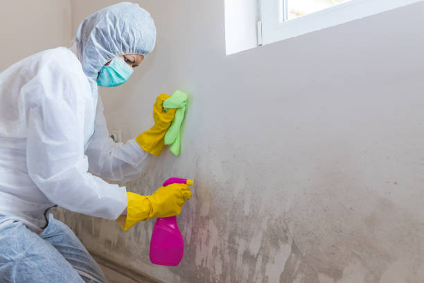 Best Water Damage & Mold Remediation  in Poplar Cotton Center, CA